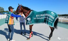 米兰APP下载-芬兰运动员刷新纪录，斩获桂冠的简单介绍