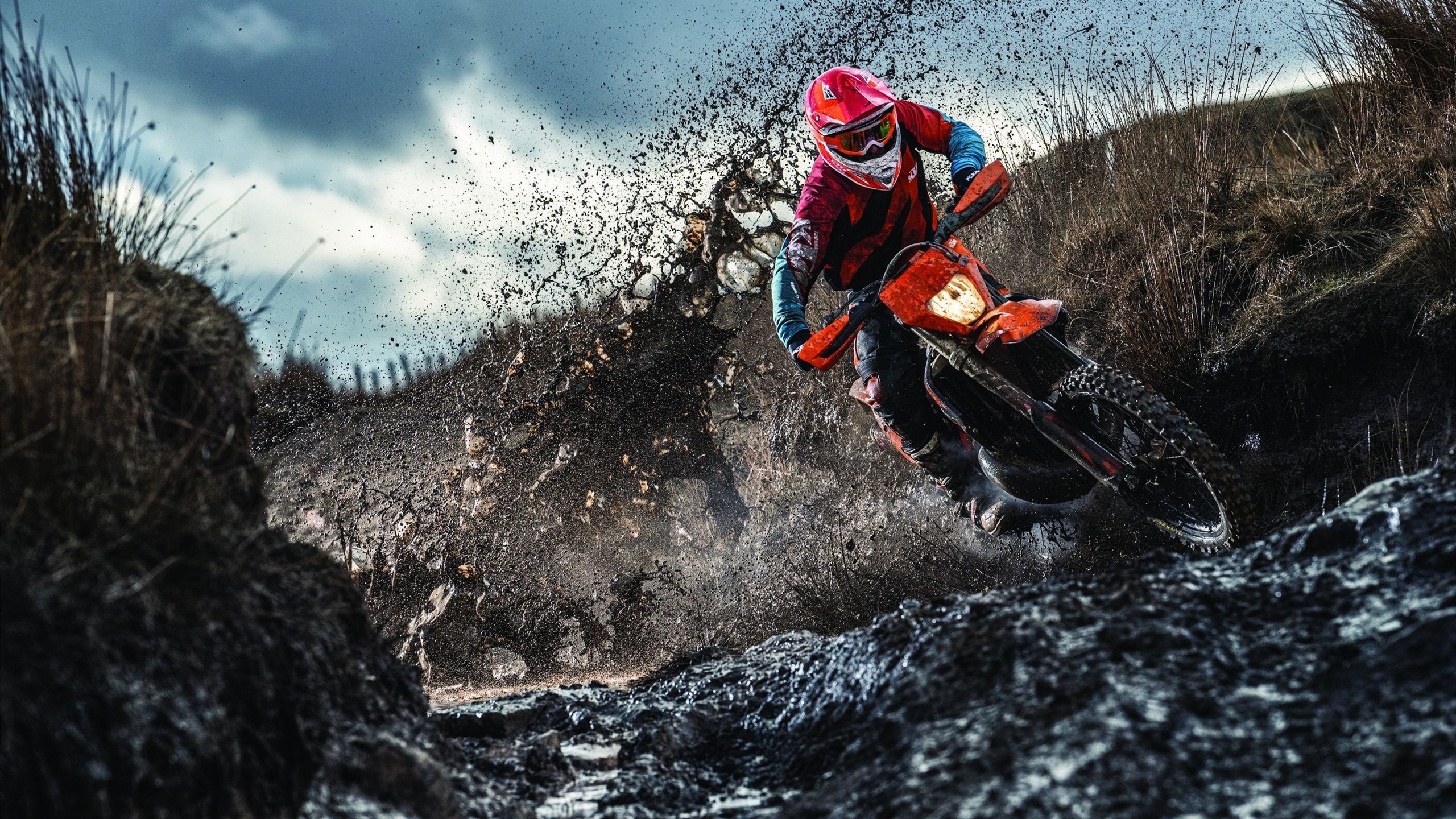 绿茵场上的骑士与独行侠,德甲争冠焦点战中的火力压制哲学