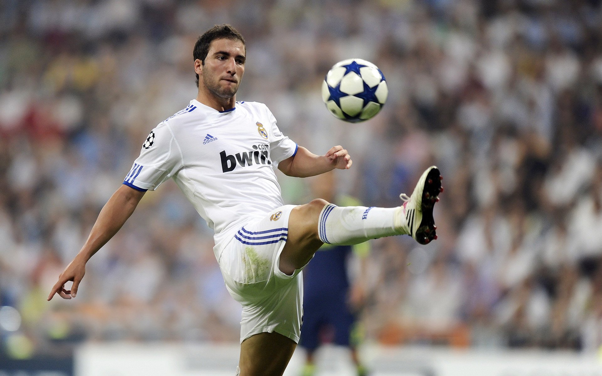 绿茵场与乒乓台的双重奏，葡萄牙轻取英格兰，张本智和扛起全队